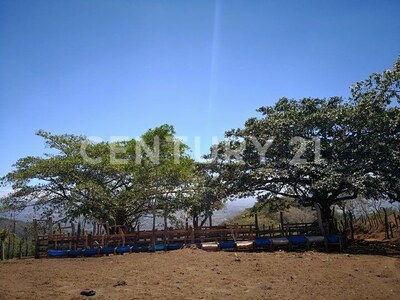 VENTA DE FINCA PREMIUM EN ALAJUELA – 396 HECTÁREAS — Foto 28