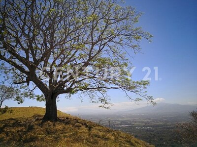 VENTA DE FINCA PREMIUM EN ALAJUELA – 396 HECTÁREAS — Foto 2
