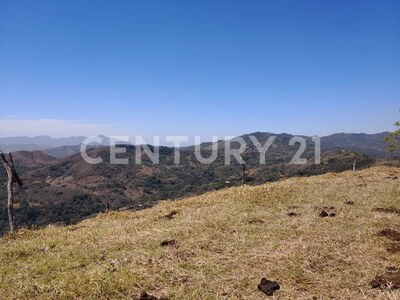 VENTA DE FINCA PREMIUM EN ALAJUELA – 396 HECTÁREAS — Foto 12