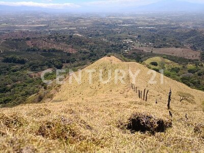 VENTA DE FINCA PREMIUM EN ALAJUELA – 396 HECTÁREAS — Foto 14