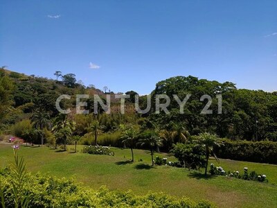 VENTA DE FINCA PREMIUM EN ALAJUELA – 396 HECTÁREAS — Foto 18