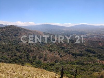 VENTA DE FINCA PREMIUM EN ALAJUELA – 396 HECTÁREAS — Foto 26