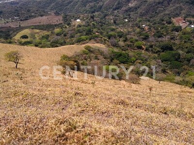 VENTA DE FINCA PREMIUM EN ALAJUELA – 396 HECTÁREAS — Foto 24