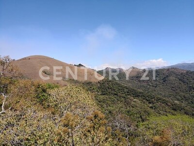 VENTA DE FINCA PREMIUM EN ALAJUELA – 396 HECTÁREAS — Foto 17