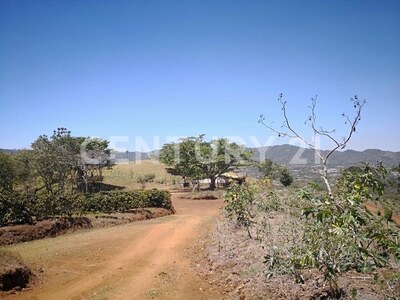 VENTA DE FINCA PREMIUM EN ALAJUELA – 396 HECTÁREAS — Foto 15