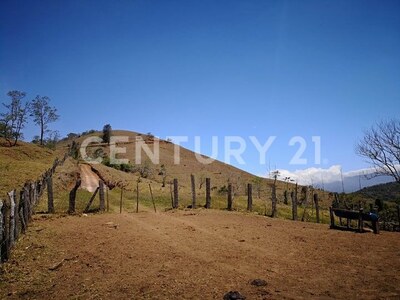 VENTA DE FINCA PREMIUM EN ALAJUELA – 396 HECTÁREAS — Foto 19