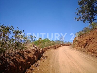 VENTA DE FINCA PREMIUM EN ALAJUELA – 396 HECTÁREAS — Foto 27