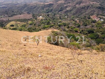 VENTA DE FINCA PREMIUM EN ALAJUELA – 396 HECTÁREAS — Foto 20