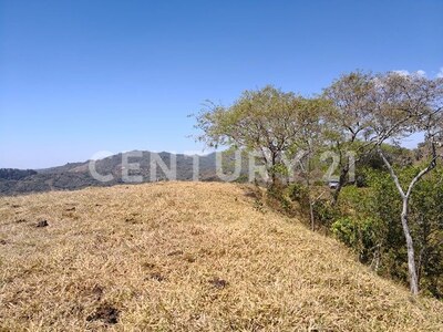 VENTA DE FINCA PREMIUM EN ALAJUELA – 396 HECTÁREAS — Foto 22