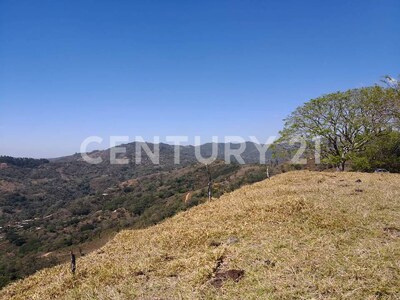 VENTA DE FINCA PREMIUM EN ALAJUELA – 396 HECTÁREAS — Foto 25