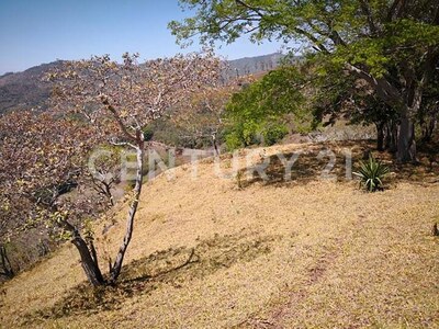 VENTA DE FINCA PREMIUM EN ALAJUELA – 396 HECTÁREAS — Foto 21