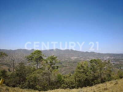 VENTA DE FINCA PREMIUM EN ALAJUELA – 396 HECTÁREAS — Foto 23