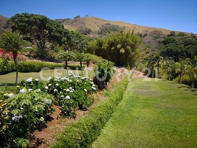 VENTA DE FINCA PREMIUM EN ALAJUELA – 396 HECTÁREAS — Foto 13