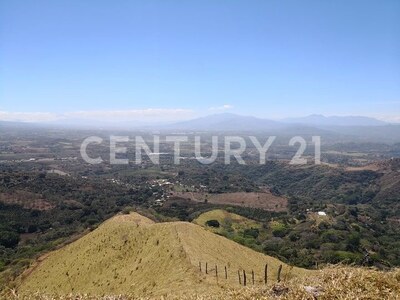 VENTA DE FINCA PREMIUM EN ALAJUELA – 396 HECTÁREAS — Foto 16