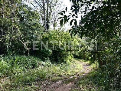 VENTA DE IMPRESIONANTE PROPIEDAD DE 32 HECTÁREAS – TRES RÍOS, CARTAGO — Foto 9