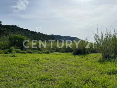 VENTA DE IMPRESIONANTE PROPIEDAD DE 32 HECTÁREAS – TRES RÍOS, CARTAGO — Foto 6