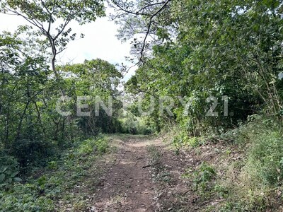 VENTA DE IMPRESIONANTE PROPIEDAD DE 32 HECTÁREAS – TRES RÍOS, CARTAGO — Foto 12