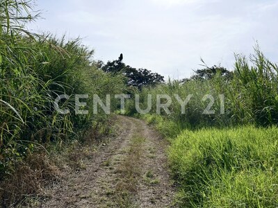 VENTA DE IMPRESIONANTE PROPIEDAD DE 32 HECTÁREAS – TRES RÍOS, CARTAGO — Foto 7