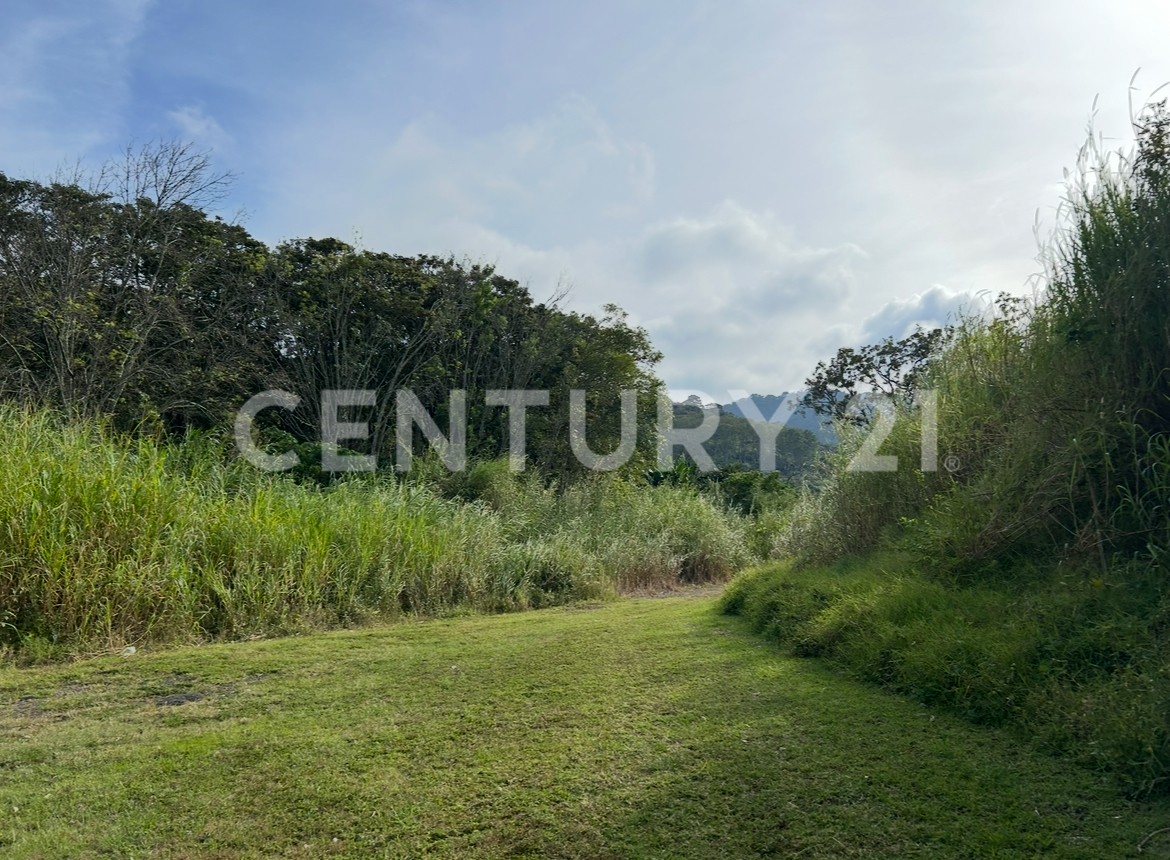 VENTA DE IMPRESIONANTE PROPIEDAD DE 32 HECTÁREAS – TRES RÍOS, CARTAGO — Foto 14