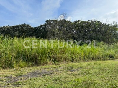VENTA DE IMPRESIONANTE PROPIEDAD DE 32 HECTÁREAS – TRES RÍOS, CARTAGO — Foto 13