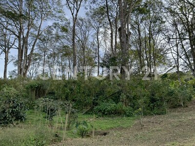 VENTA DE IMPRESIONANTE PROPIEDAD DE 32 HECTÁREAS – TRES RÍOS, CARTAGO — Foto 8