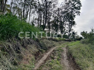 VENTA DE IMPRESIONANTE PROPIEDAD DE 32 HECTÁREAS – TRES RÍOS, CARTAGO — Foto 11
