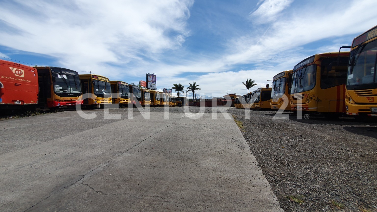 TERRENO COMERCIAL, ALQUILER POR M2, HEREDIA, SAN FRANCISCO — Foto 6