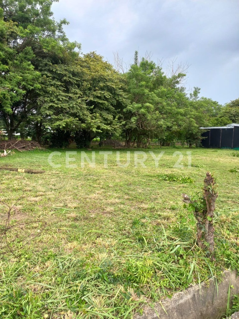 VENTA DE LOTE DE 1,000 m² EN LIBERIA, GUANACASTE — Foto 2