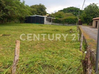 VENTA DE LOTE DE 1,000 m² EN LIBERIA, GUANACASTE — Foto 6