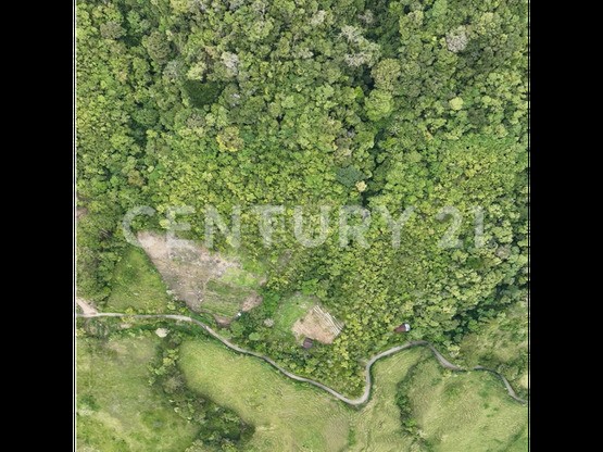 VENTA DE LOTE DE 12 HECTÁREAS, TUCURRIQUE, CARTAGO — Foto 2