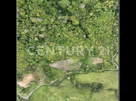 VENTA DE LOTE DE 12 HECTÁREAS, TUCURRIQUE, CARTAGO — Foto 3