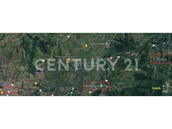 VENTA DE LOTE DE 12 HECTÁREAS, TUCURRIQUE, CARTAGO — Foto 6