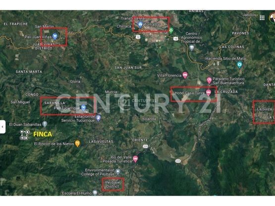 VENTA DE LOTE DE 12 HECTÁREAS, TUCURRIQUE, CARTAGO — Foto 5