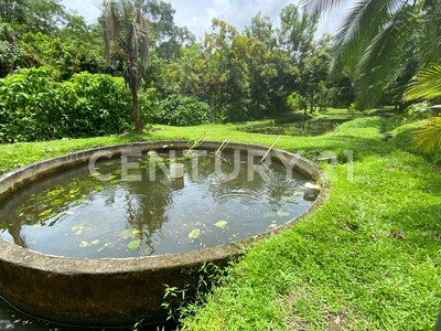 Venta de finca en Horquetas de Sarapiquí — Foto 9