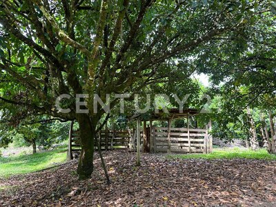 Venta de finca en Horquetas de Sarapiquí — Foto 7