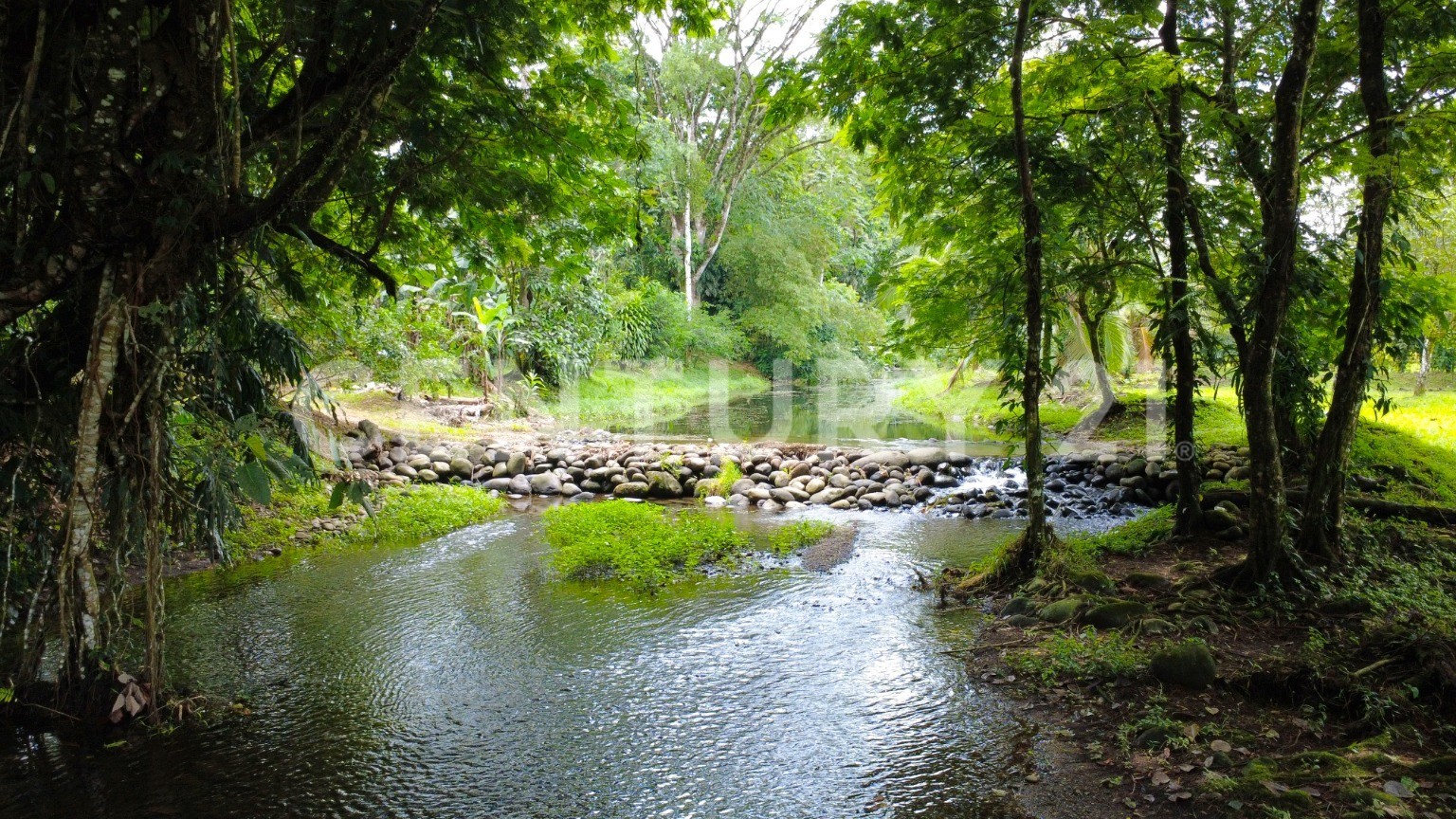 Venta de finca en Horquetas de Sarapiquí — Foto 2