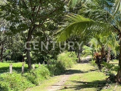 ¡Venta de propiedad para desarrollo! ¡en Bagaces, Guanacaste!