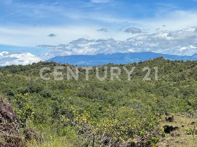 ¡Venta de propiedad para desarrollo! ¡en Bagaces, Guanacaste! — Foto 7