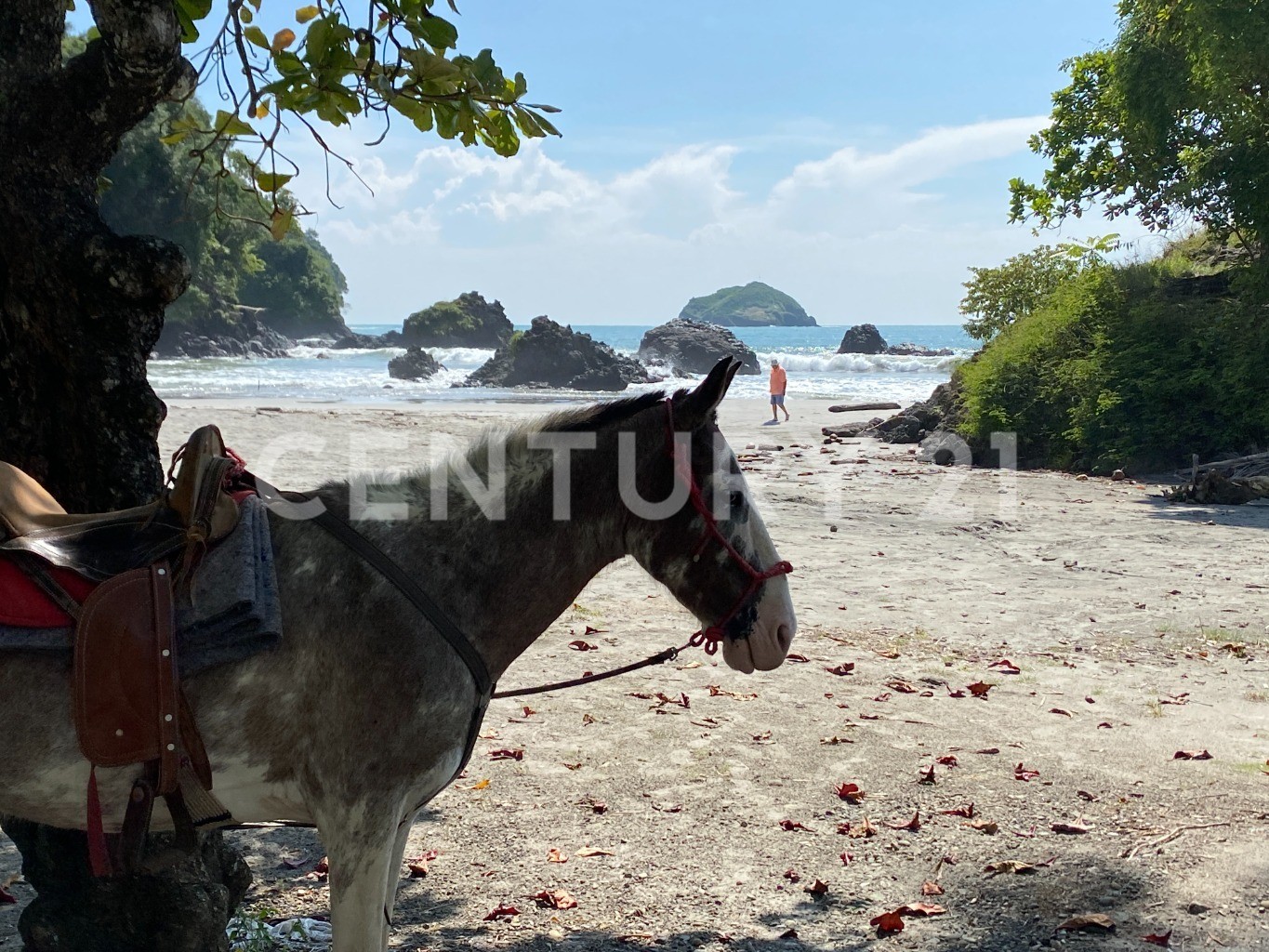 Venta de propiedad ubicada en punto comercial estratégico en Quepos — Foto 35