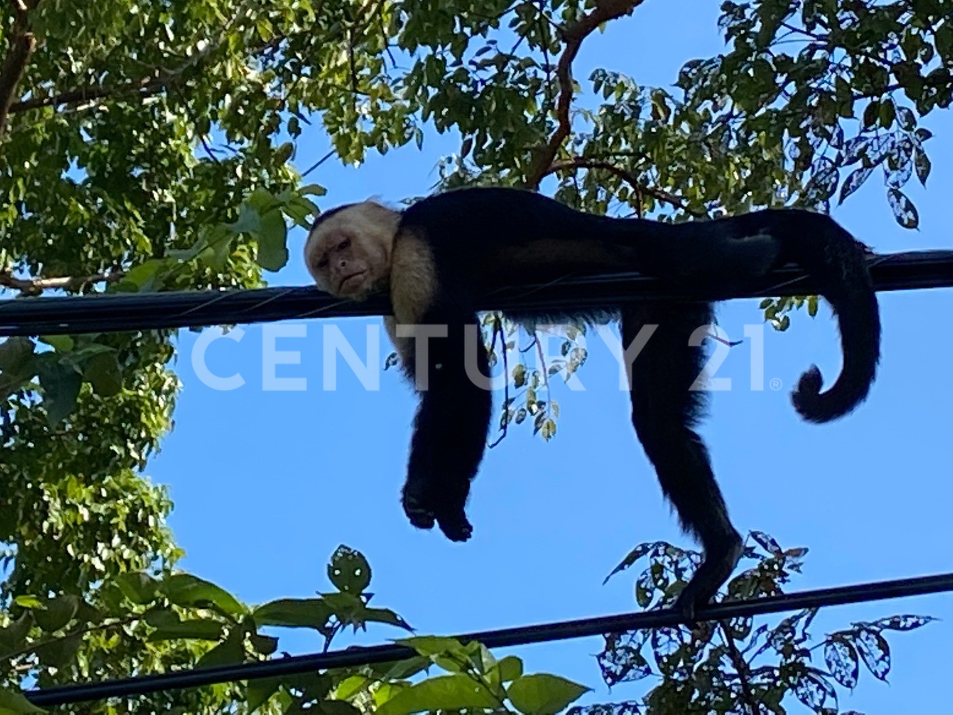 Venta de propiedad ubicada en punto comercial estratégico en Quepos — Foto 37