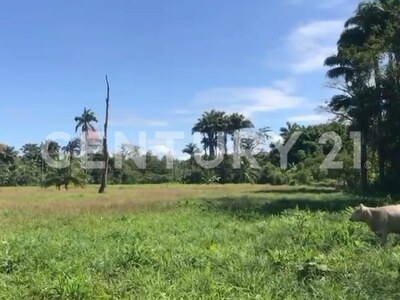 Venta de Finca rodeada de naturaleza y muy cerca del mar, en Westfalia, Limón, Costa Rica — Foto 57