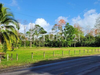 Venta de Finca rodeada de naturaleza y muy cerca del mar, en Westfalia, Limón, Costa Rica — Foto 4