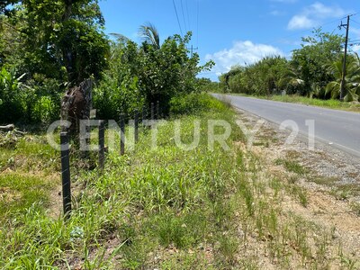 Venta de Finca rodeada de naturaleza y muy cerca del mar, en Westfalia, Limón, Costa Rica — Foto 40