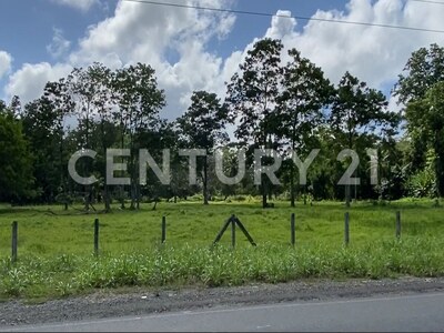 Venta de Finca rodeada de naturaleza y muy cerca del mar, en Westfalia, Limón, Costa Rica — Foto 37