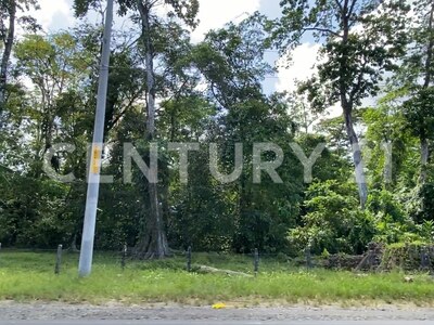 Venta de Finca rodeada de naturaleza y muy cerca del mar, en Westfalia, Limón, Costa Rica — Foto 44