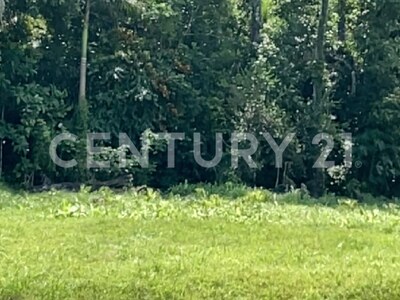 Venta de Finca rodeada de naturaleza y muy cerca del mar, en Westfalia, Limón, Costa Rica — Foto 47