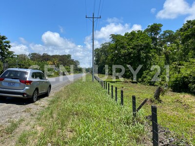 Venta de Finca rodeada de naturaleza y muy cerca del mar, en Westfalia, Limón, Costa Rica — Foto 39