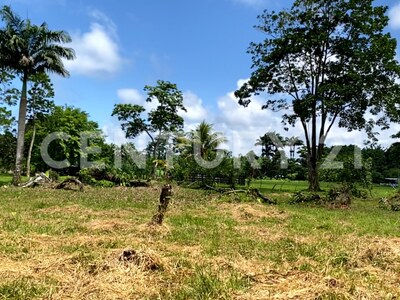 Venta de Finca rodeada de naturaleza y muy cerca del mar, en Westfalia, Limón, Costa Rica — Foto 27