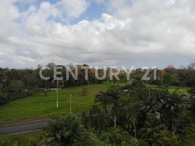 Venta de Finca rodeada de naturaleza y muy cerca del mar, en Westfalia, Limón, Costa Rica — Foto 57