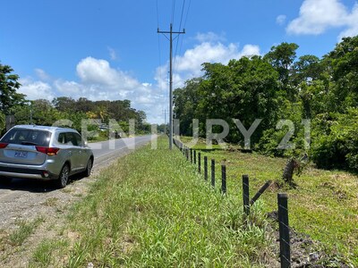 Venta de Finca rodeada de naturaleza y muy cerca del mar, en Westfalia, Limón, Costa Rica — Foto 38